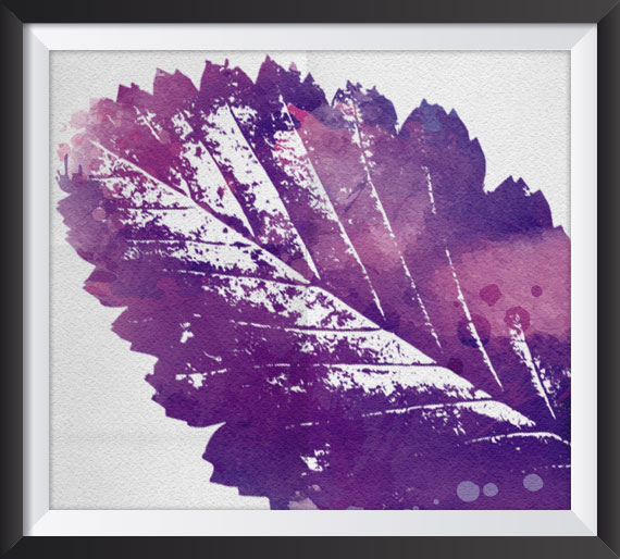 illutration